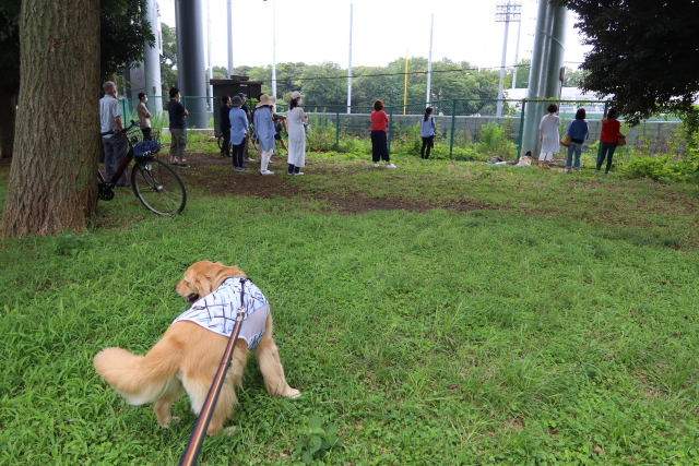 ファイル 7700-4.jpg