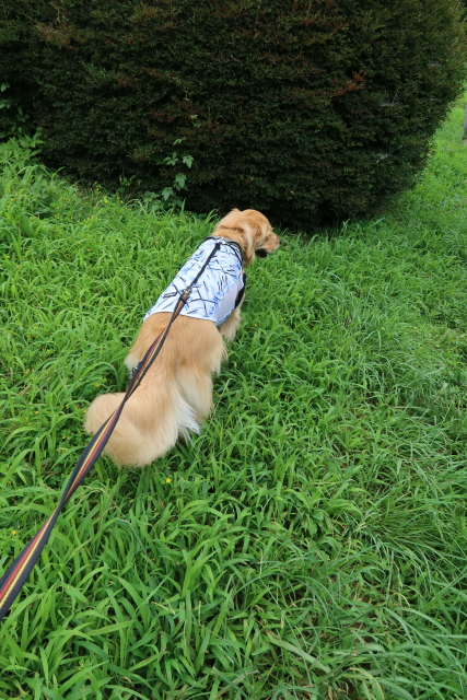 ファイル 7700-5.jpg