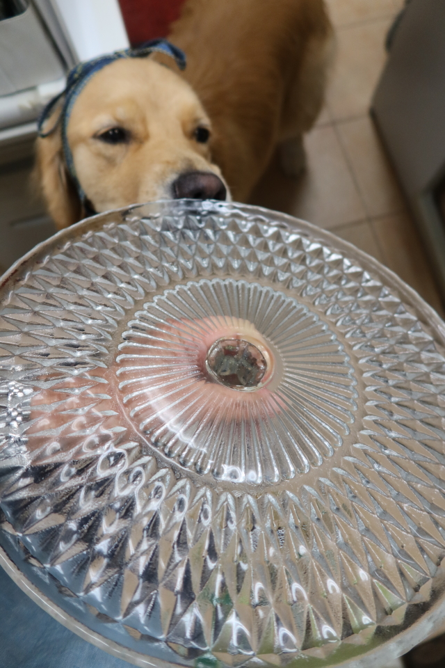 ファイル 7701-2.jpg