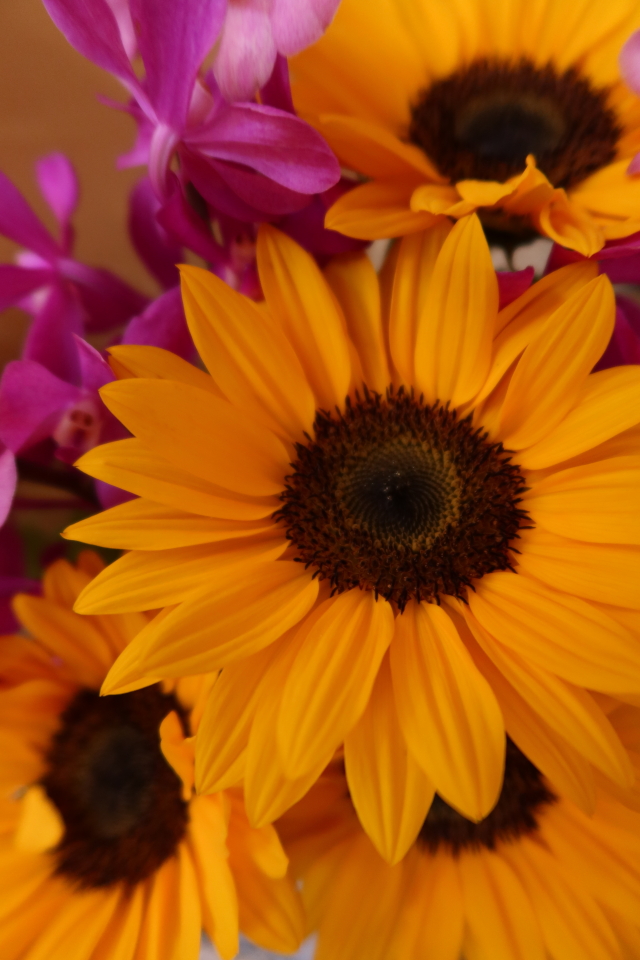 ファイル 7702-5.jpg