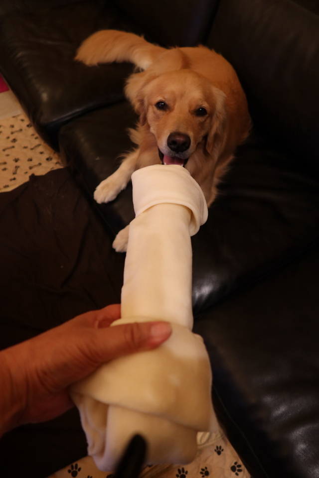 ファイル 7706-2.jpg