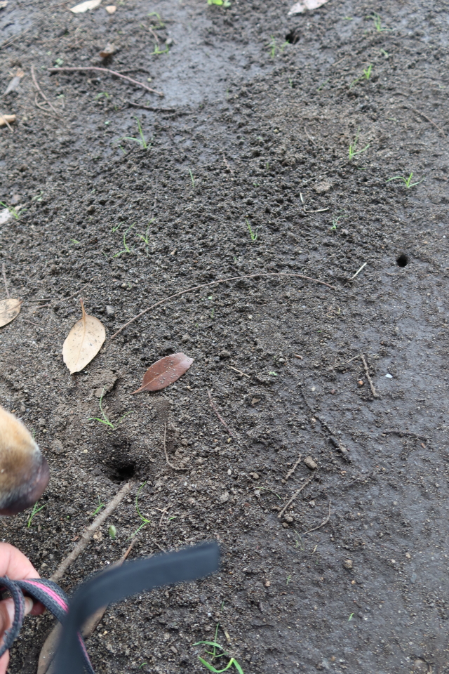 ファイル 7706-3.jpg