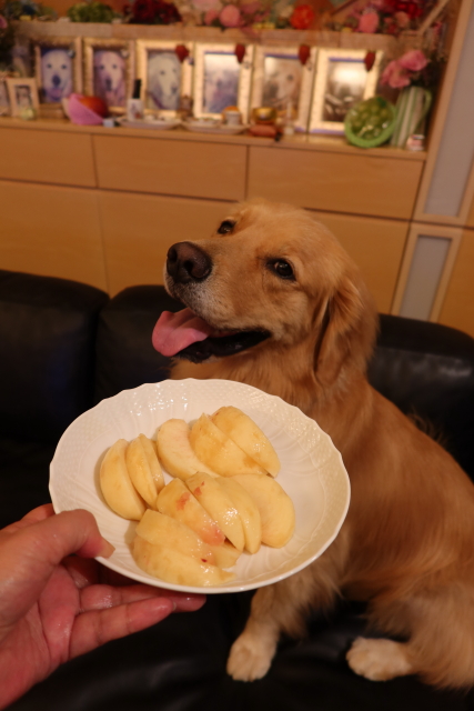 ファイル 7707-2.jpg