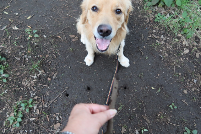 ファイル 7708-3.jpg