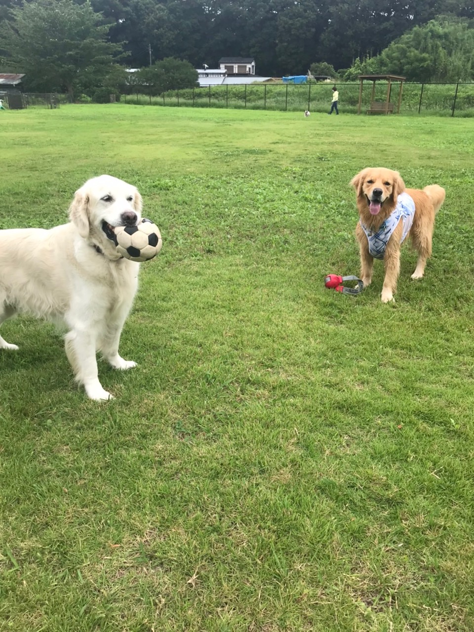 ファイル 7710-4.jpg