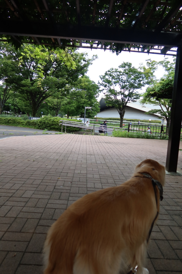 ファイル 7714-3.jpg