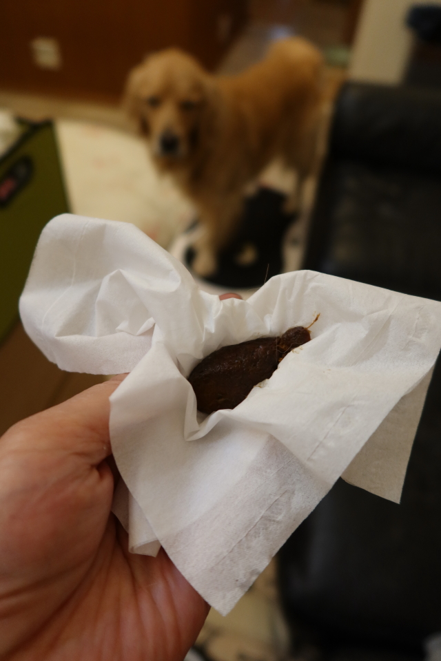 ファイル 7714-5.jpg