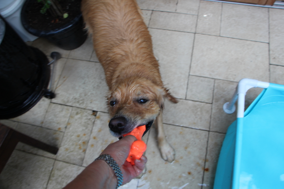 ファイル 7715-4.jpg