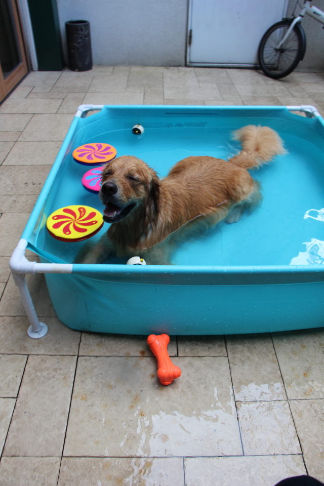 ファイル 7715-5.jpg