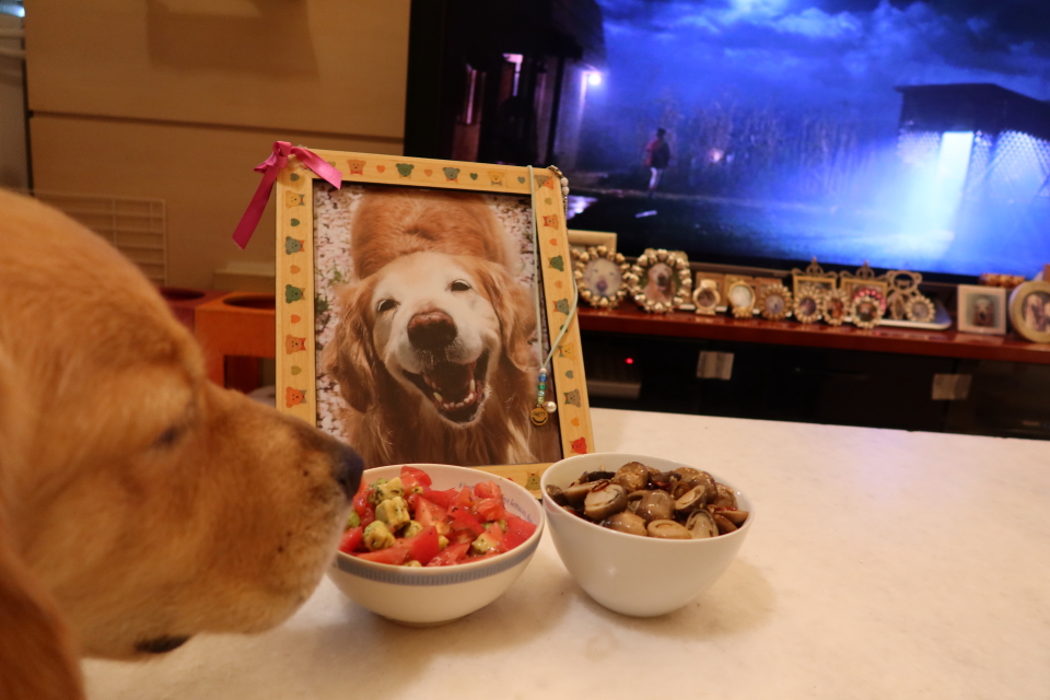 ファイル 7716-5.jpg