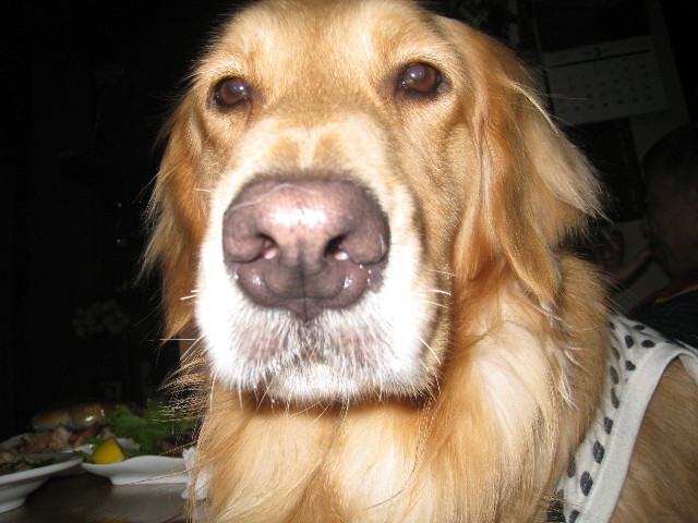 ファイル 772-5.jpg