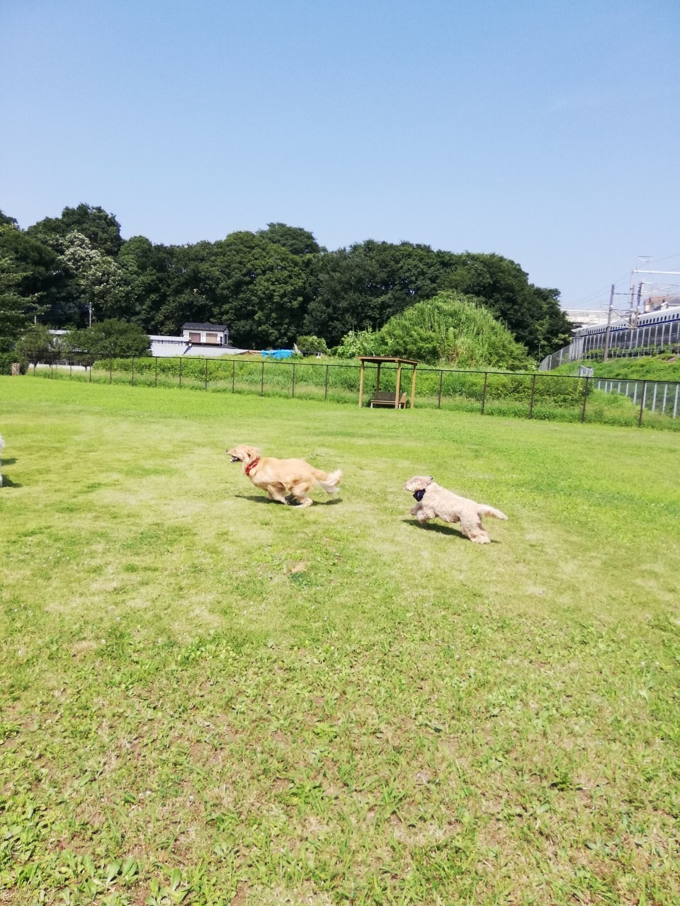 ファイル 7720-1.jpg