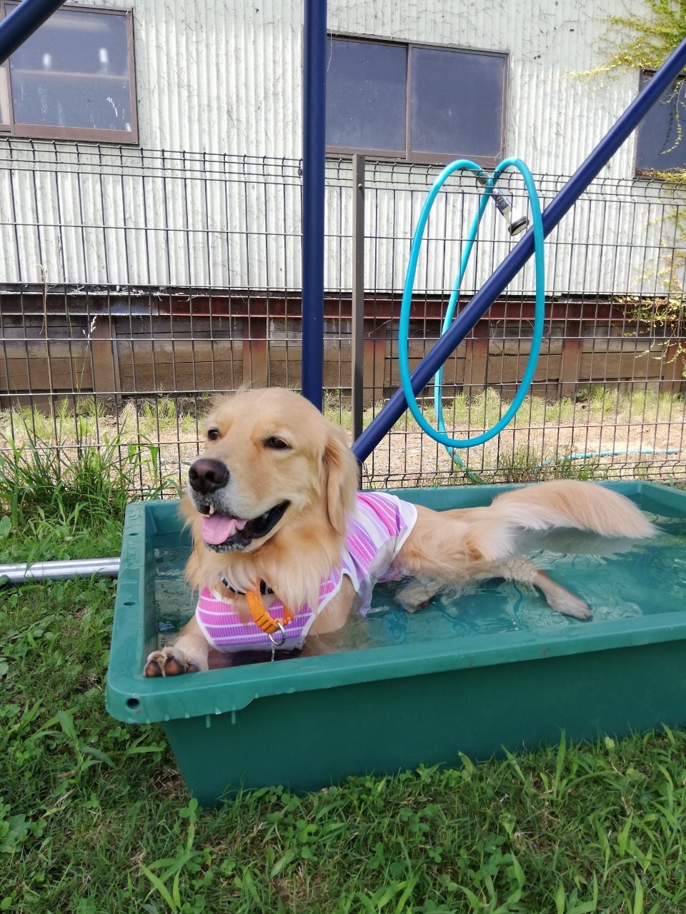 ファイル 7720-2.jpg