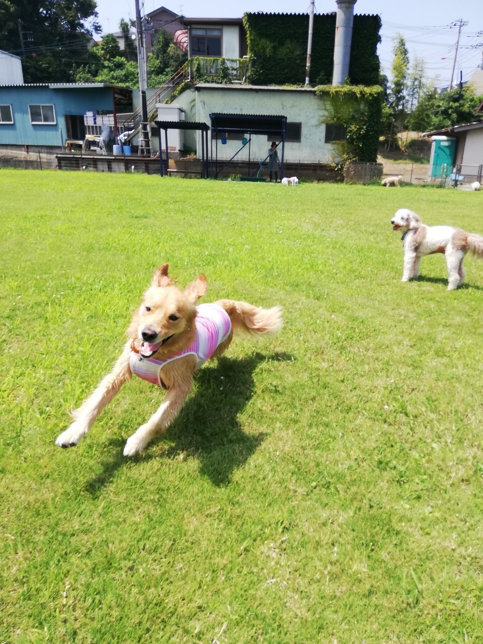 ファイル 7720-3.jpg