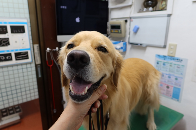 ファイル 7723-1.jpg