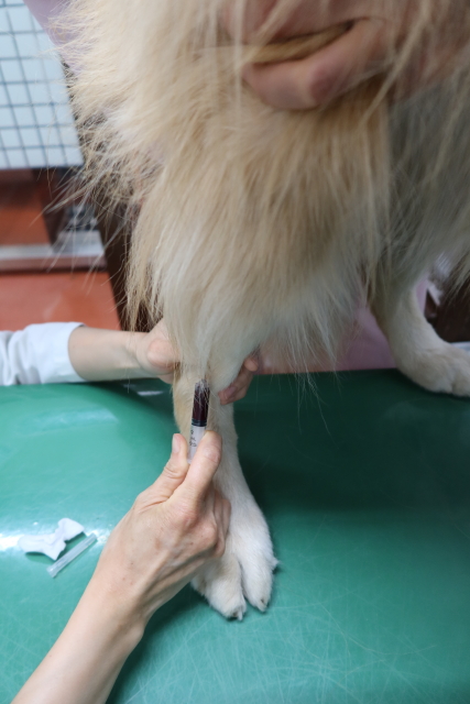 ファイル 7723-2.jpg