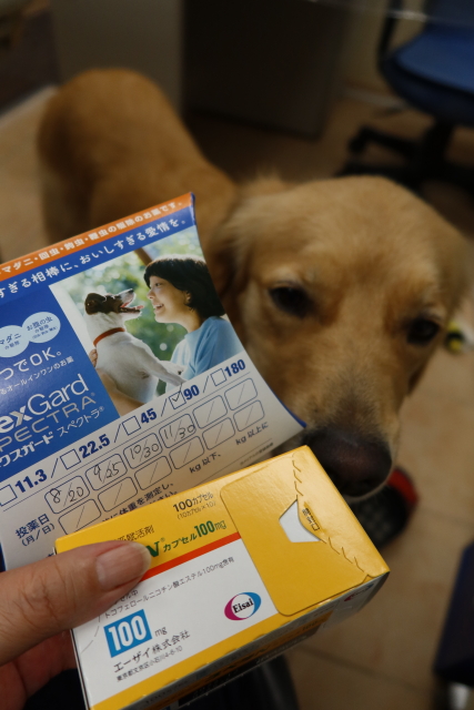 ファイル 7723-4.jpg