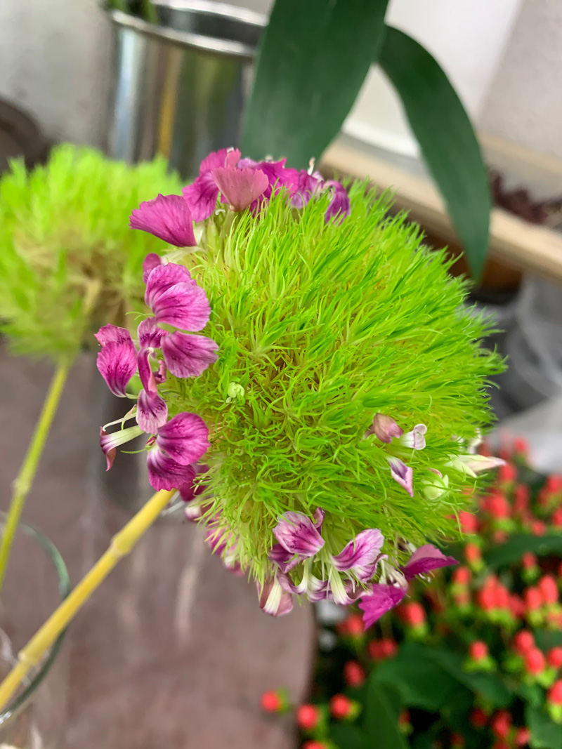 ファイル 7725-1.jpg