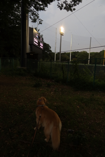 ファイル 7727-4.jpg