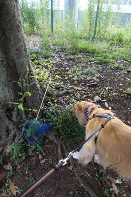 ファイル 7727-5.jpg