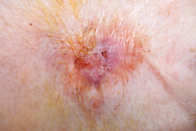 ファイル 773-1.jpg