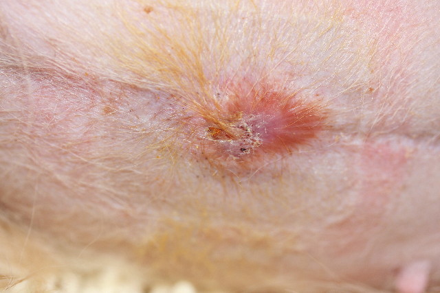 ファイル 773-2.jpg