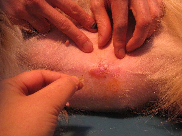 ファイル 773-3.jpg