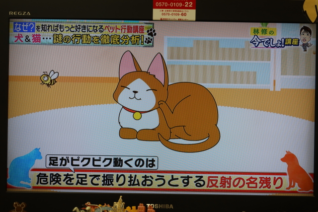 ファイル 7730-1.jpg