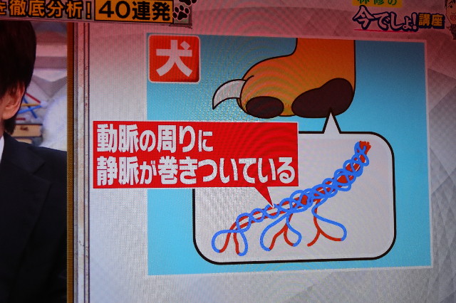 ファイル 7730-5.jpg