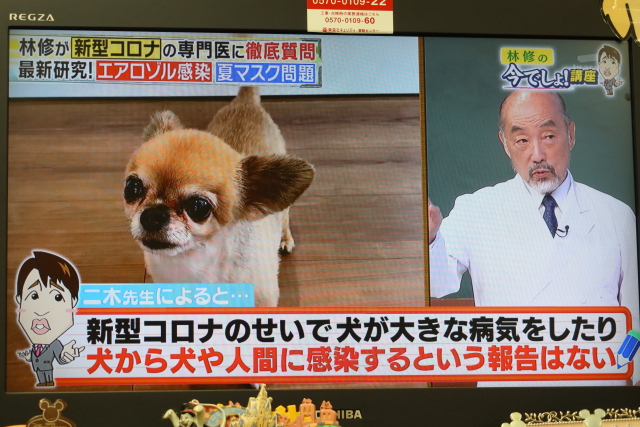 ファイル 7731-3.jpg