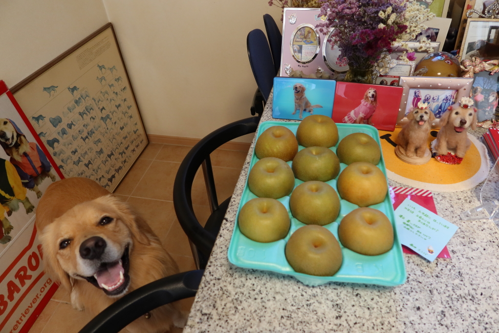 ファイル 7733-1.jpg