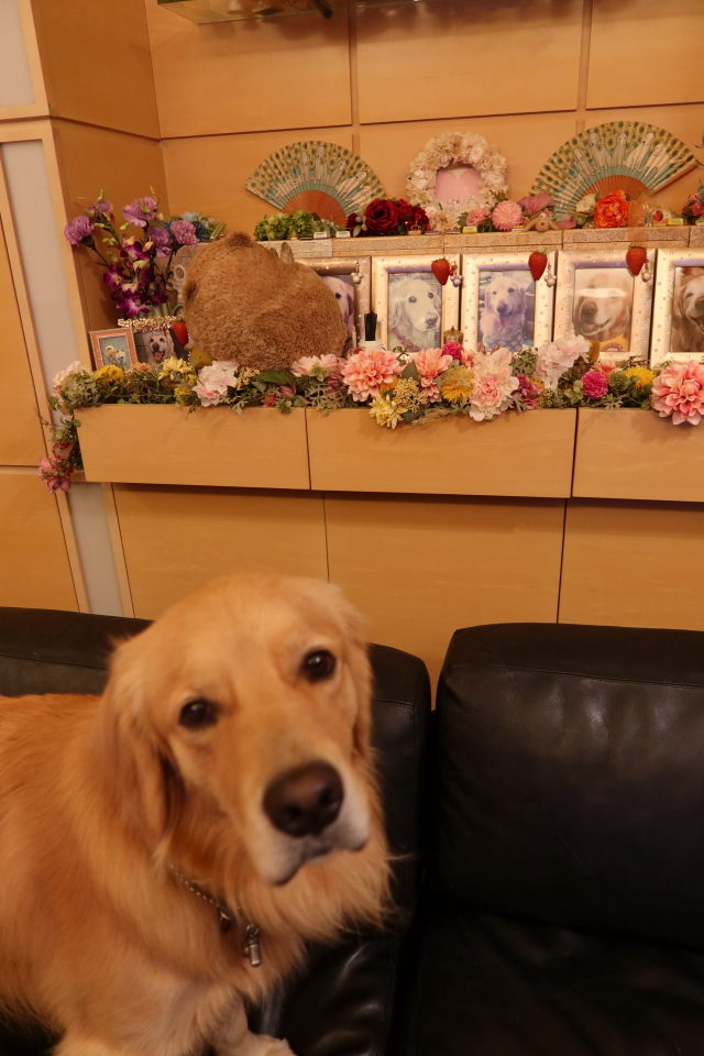 ファイル 7736-1.jpg