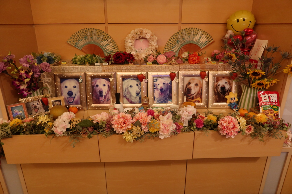 ファイル 7736-5.jpg