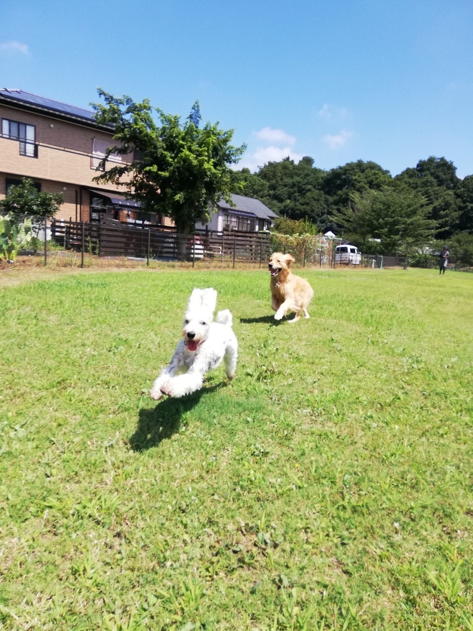 ファイル 7737-2.jpg