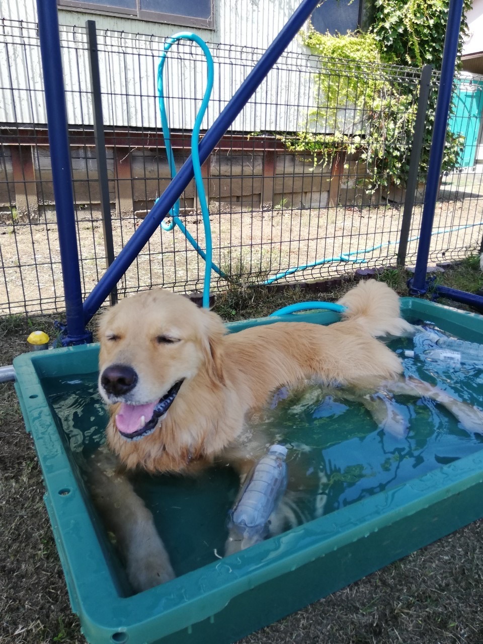 ファイル 7737-3.jpg