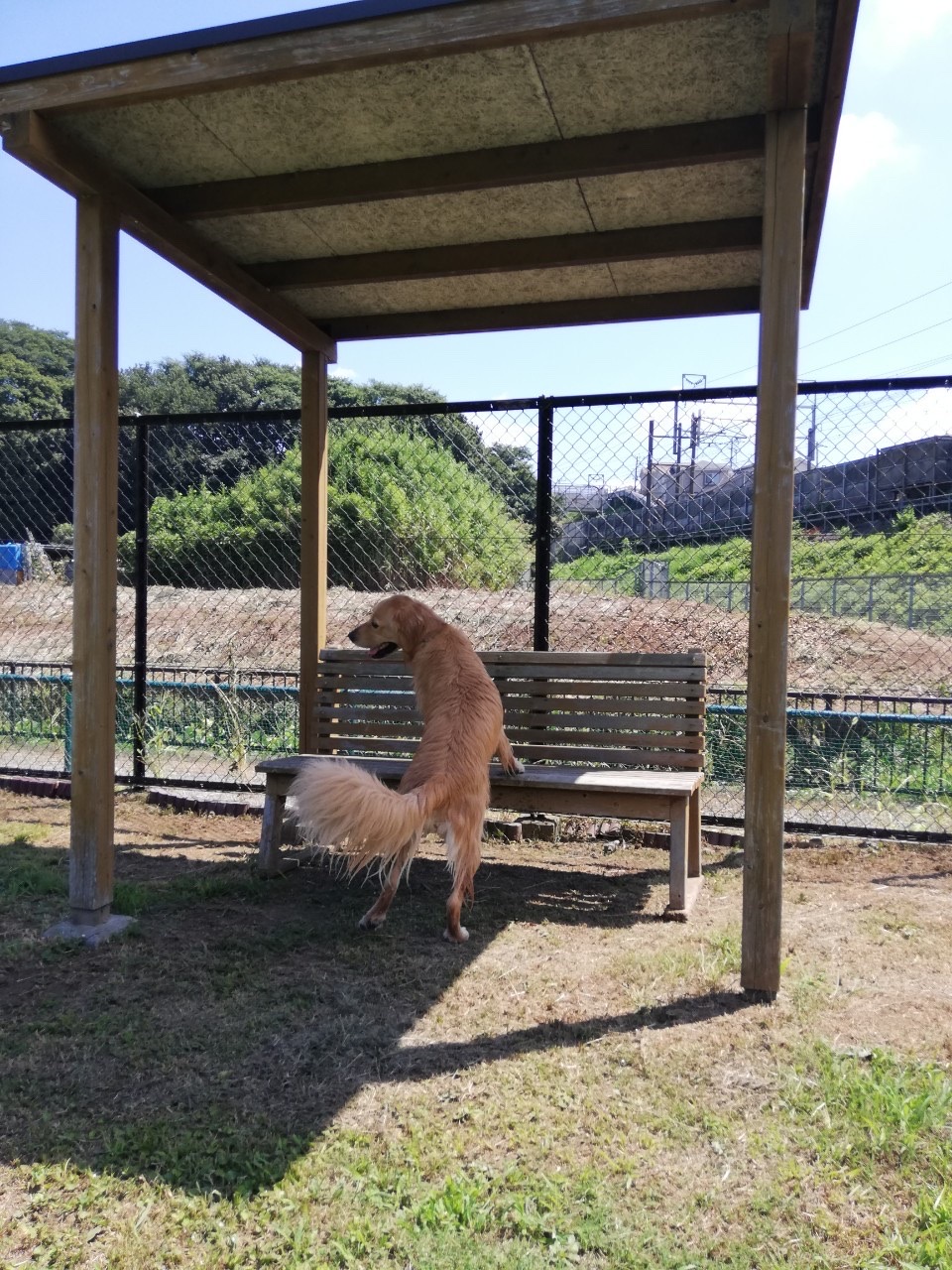 ファイル 7737-4.jpg