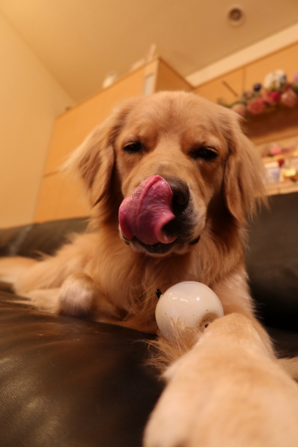 ファイル 7739-3.jpg