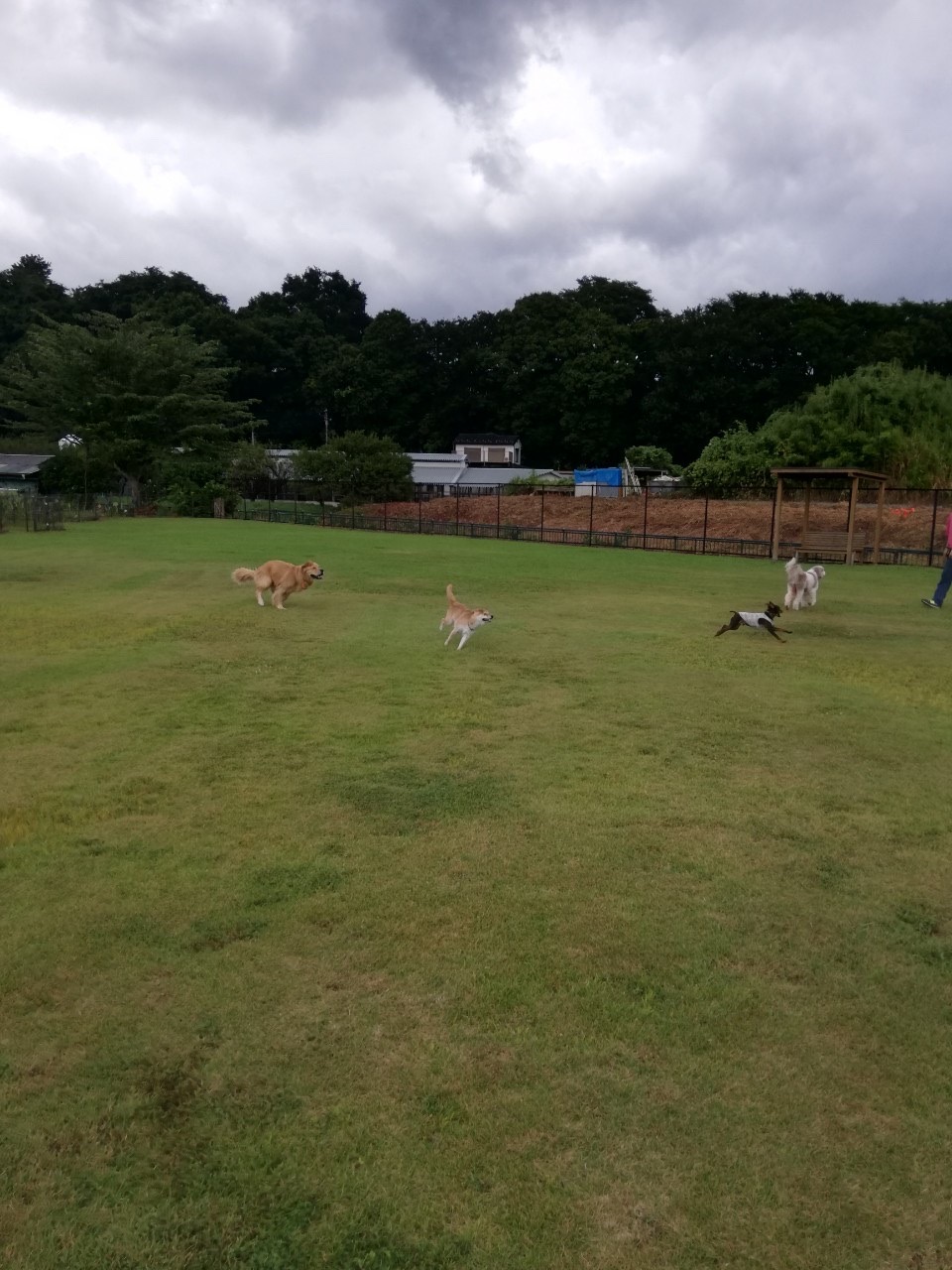 ファイル 7743-2.jpg