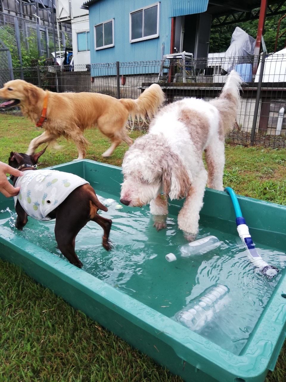 ファイル 7743-4.jpg