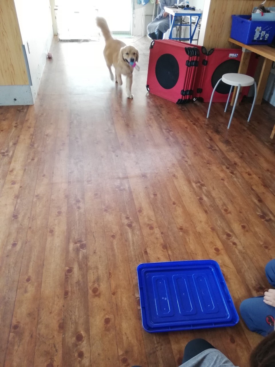 ファイル 7743-5.jpg