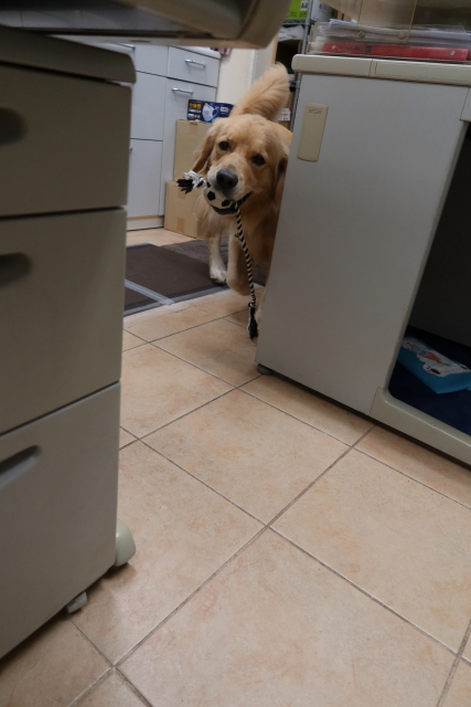 ファイル 7745-5.jpg