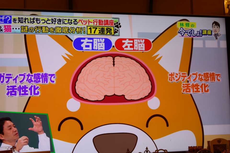 ファイル 7746-3.jpg