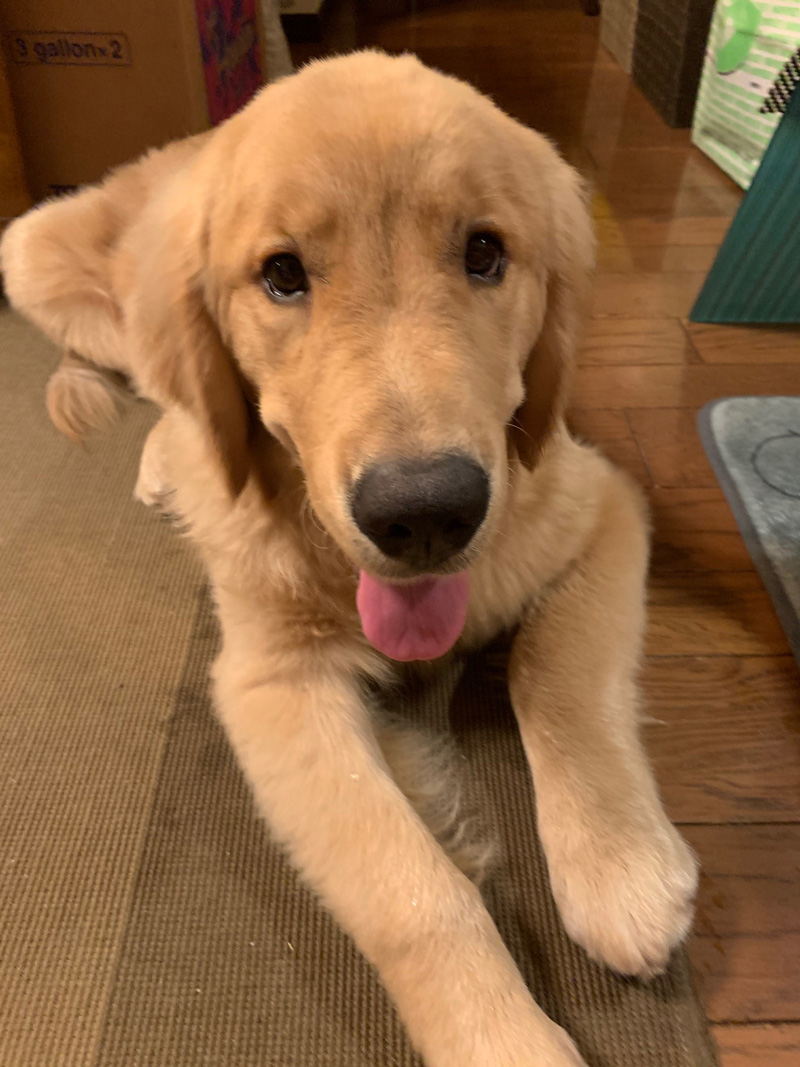 ファイル 7747-1.jpg