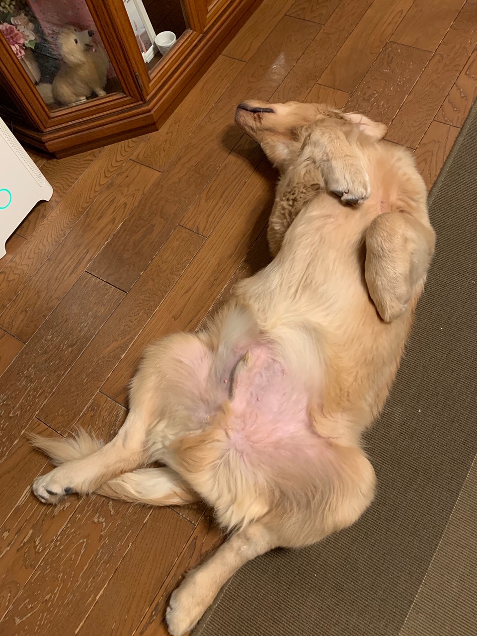 ファイル 7747-3.jpg