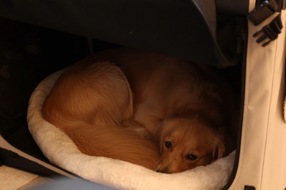 ファイル 7747-4.jpg