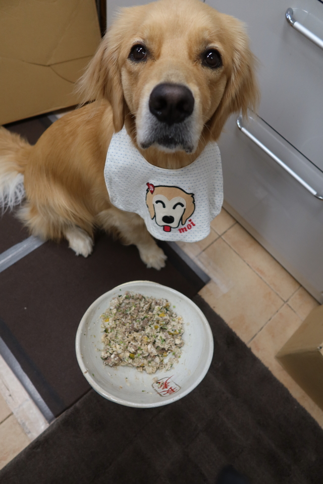 ファイル 7748-1.jpg