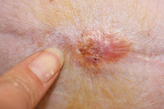 ファイル 775-1.jpg