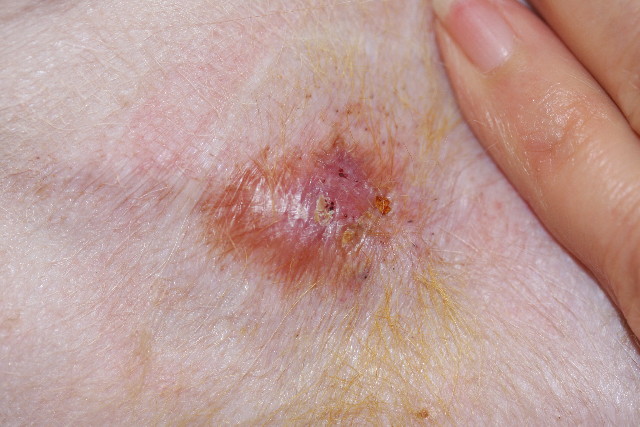 ファイル 775-2.jpg