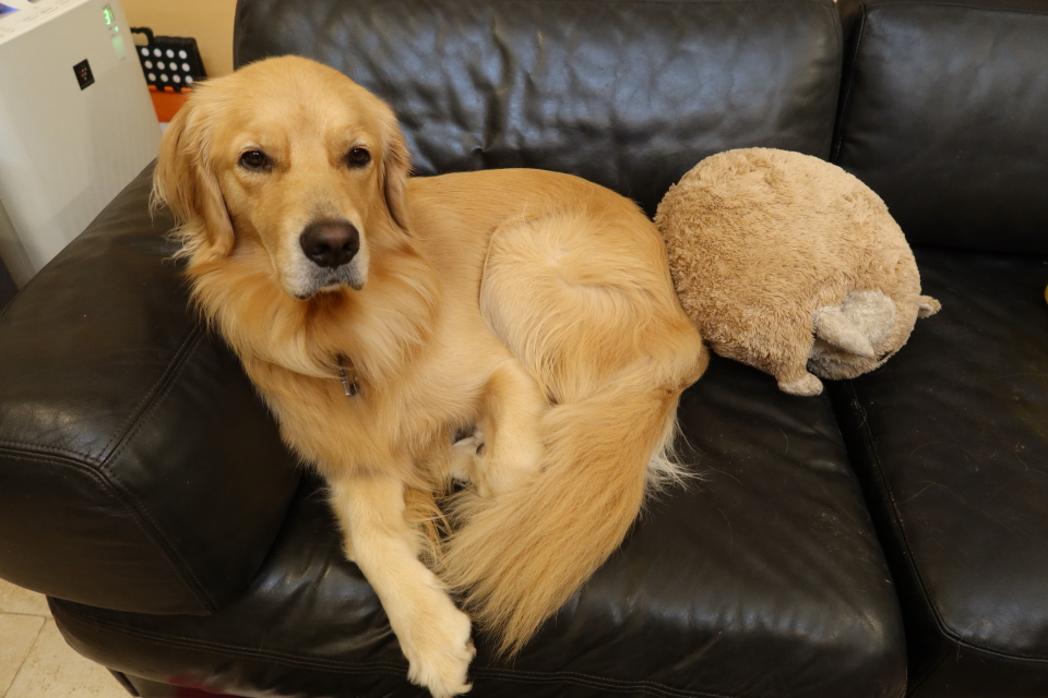 ファイル 7750-1.jpg