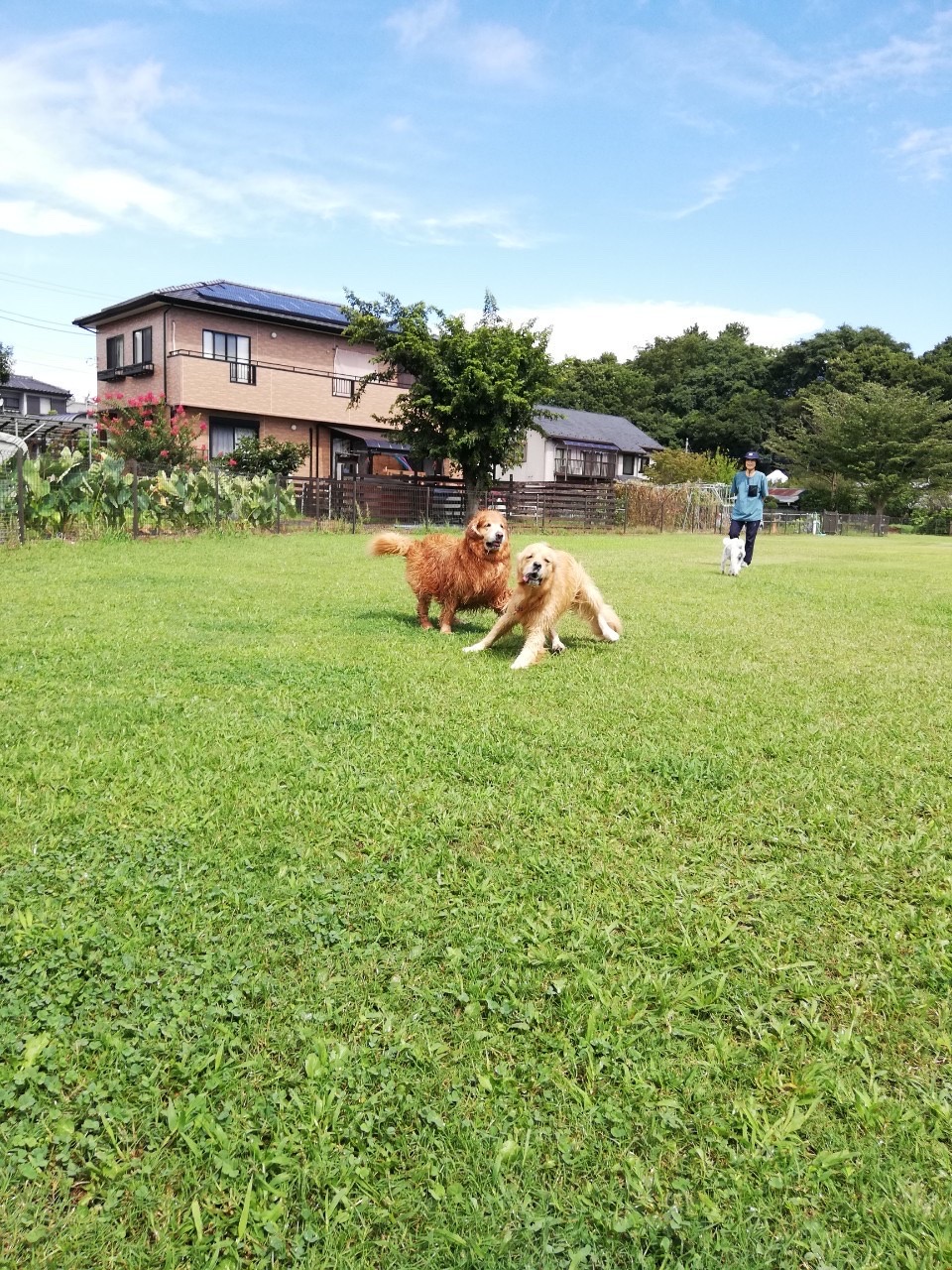 ファイル 7751-3.jpg